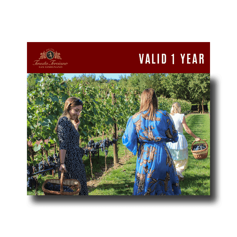 Tenuta Torciano Winery - Live the harvest - Gift Voucher